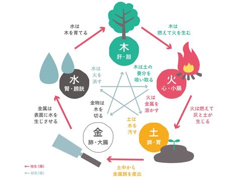 木剋金|五行思想